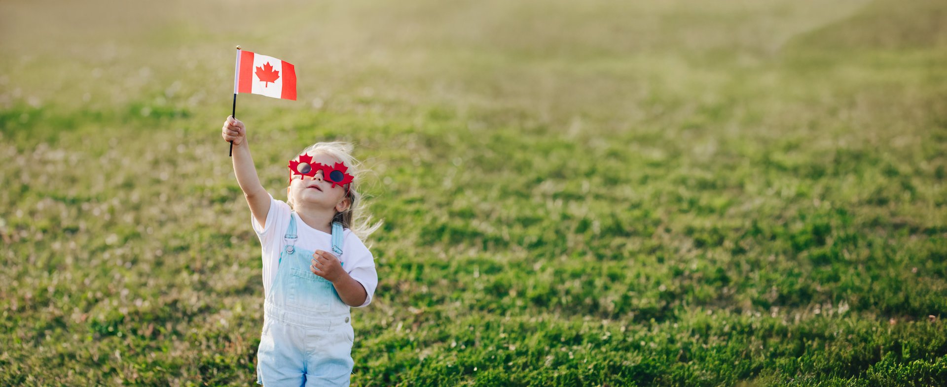 Canada Day Collection