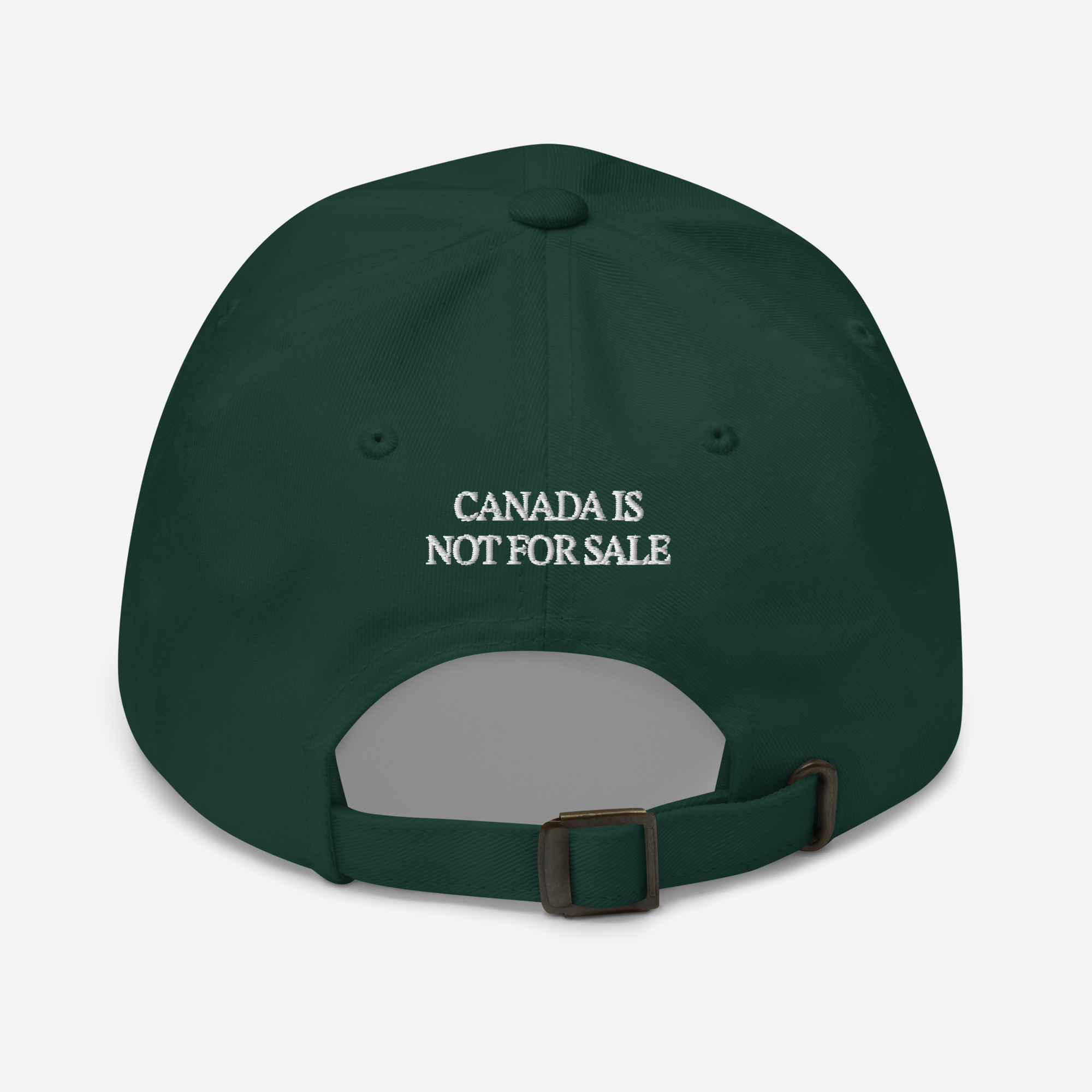 Lake Ontario Dad Cap