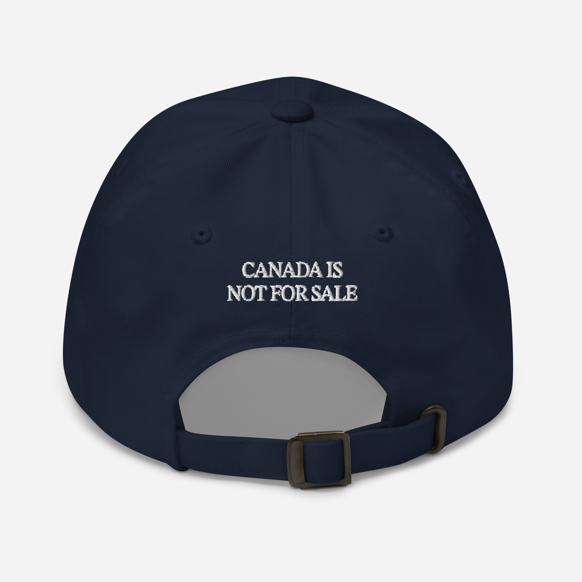 Lake Ontario Dad Cap